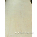 Full Poplar Plywood B/C Grade Poplar Core